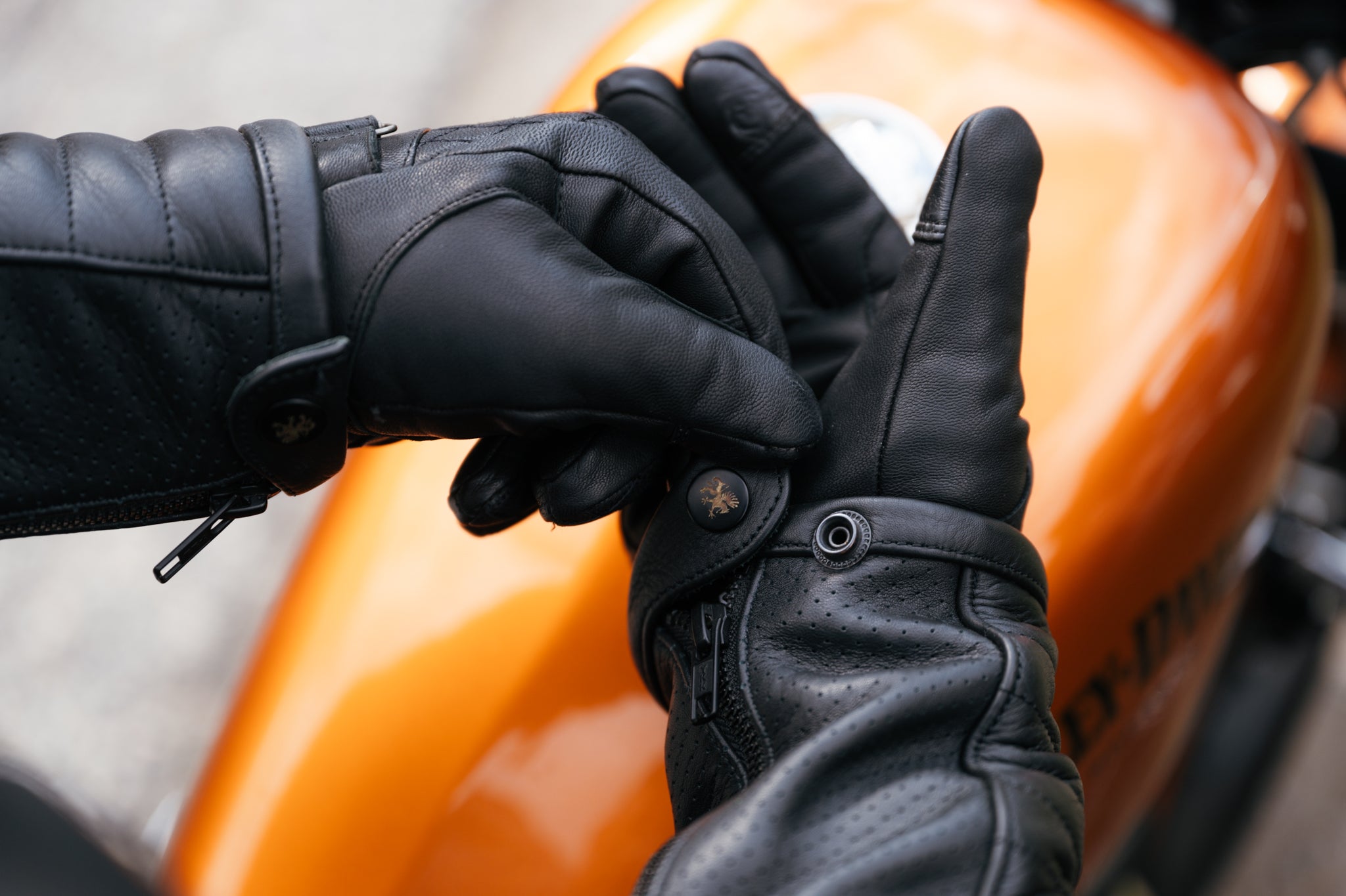 Women's Black Hills Perforated Leather Jacket